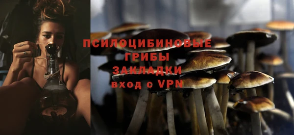 ГАЛЛЮЦИНОГЕННЫЕ ГРИБЫ Краснослободск