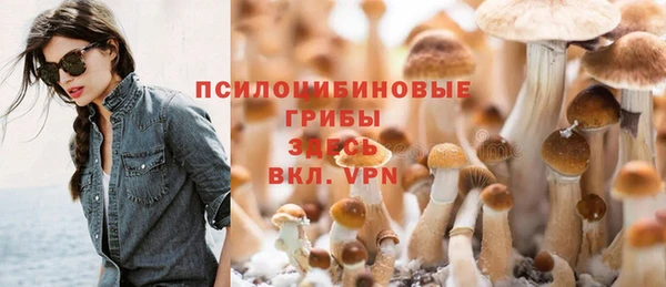 марки lsd Краснотурьинск